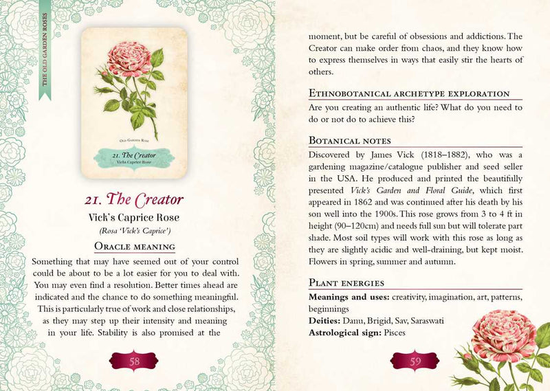 Oracle of The Roses by Cheralyn Darcey